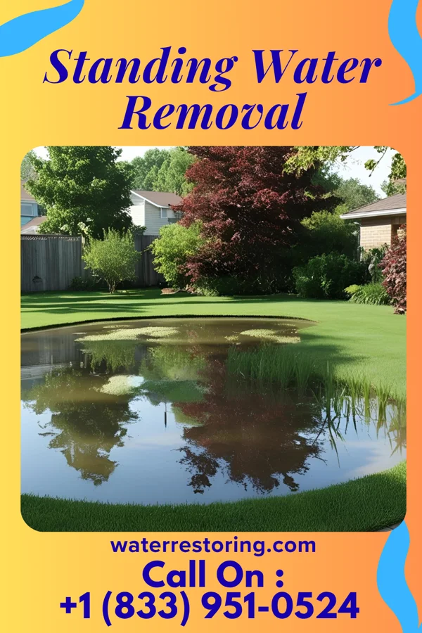 Standing Water Removal in Ishpeming, MI